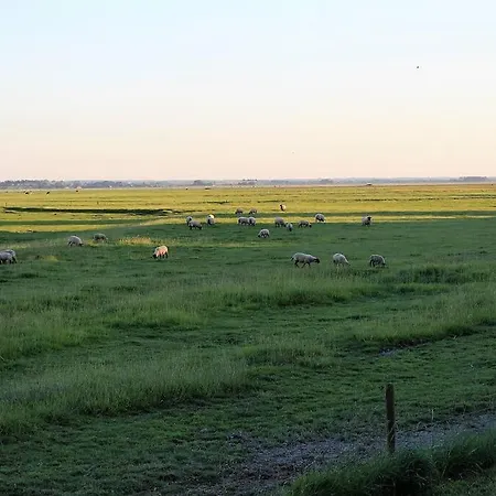 Feriehus Baie Du Mont Saint Michel / De La Vaquerie 23