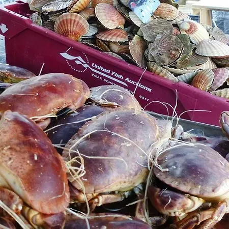 Baie Du Mont Saint Michel / De La Vaquerie 23 * Vains