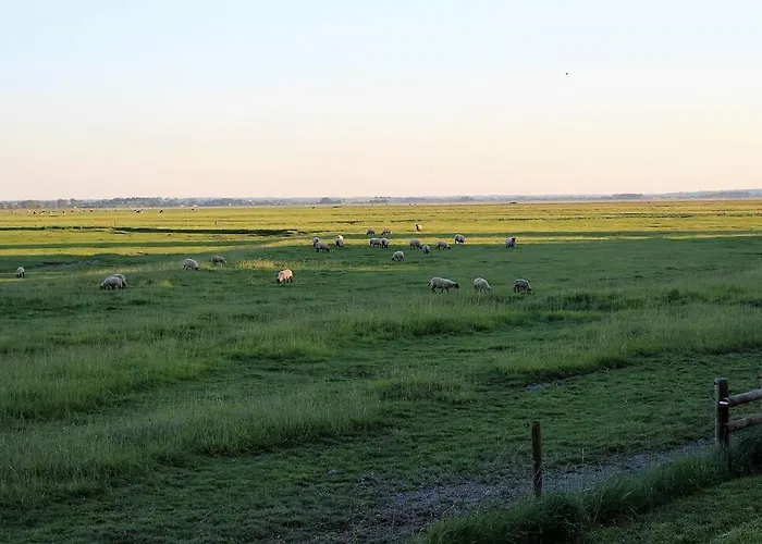 Casa vacanze Baie Du Mont Saint Michel / De La Vaquerie 23