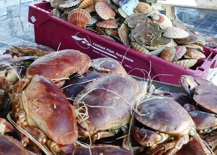 Baie Du Mont Saint Michel / De La Vaquerie 23 * Vains